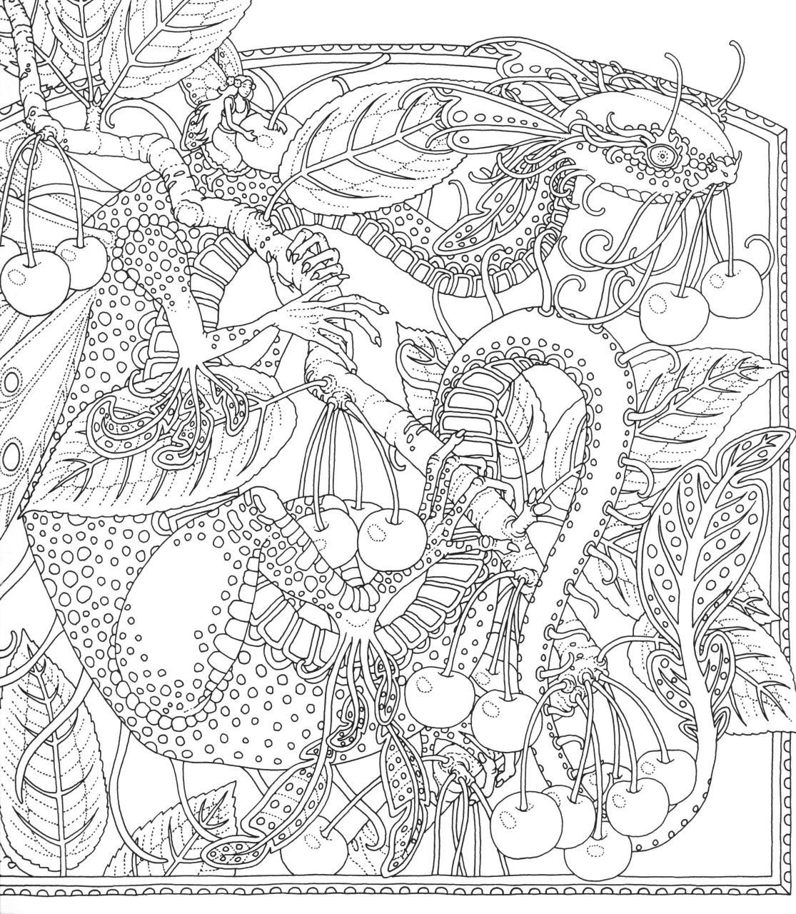 Томислав Томич земля снов