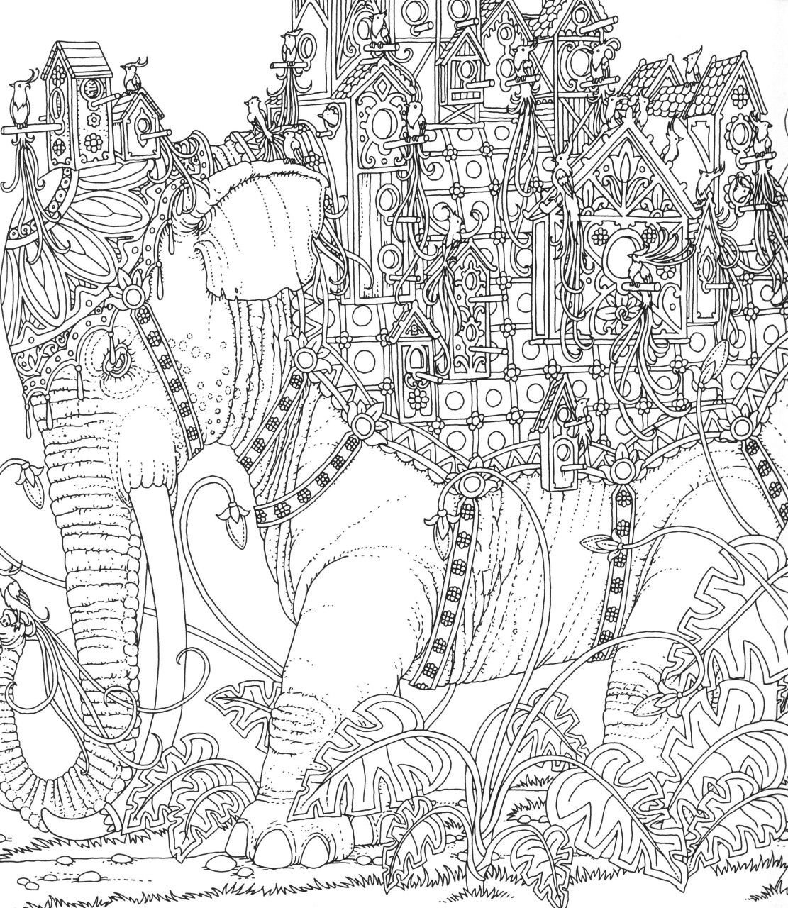 Томислав Томич земля снов