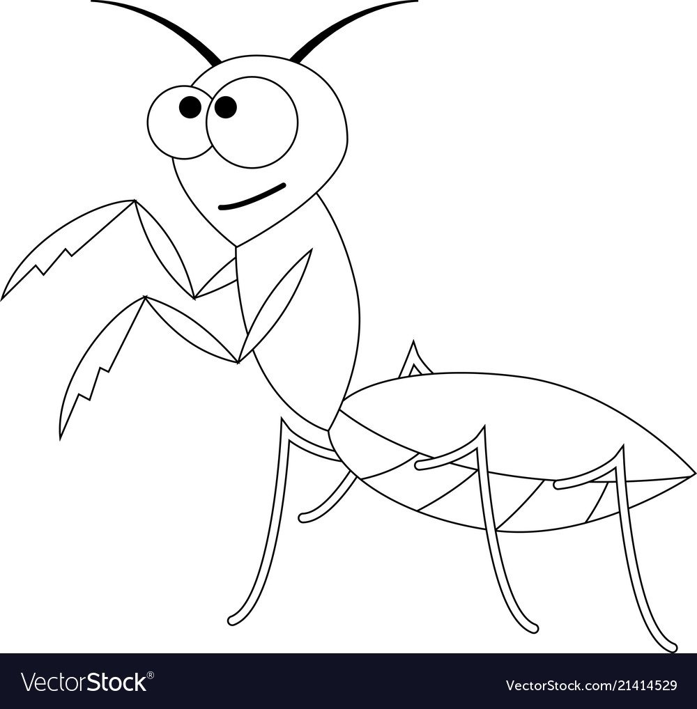 Жук богомол раскраска