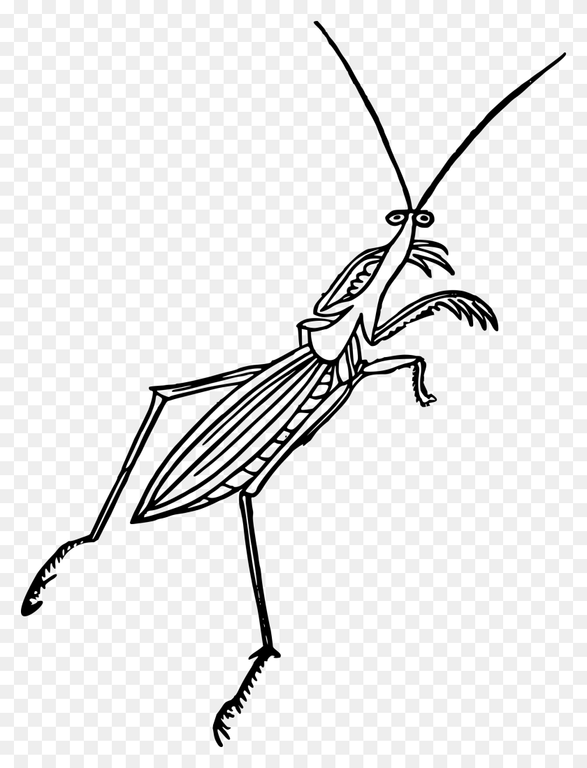 Раскраска кунг фу Панда богомол