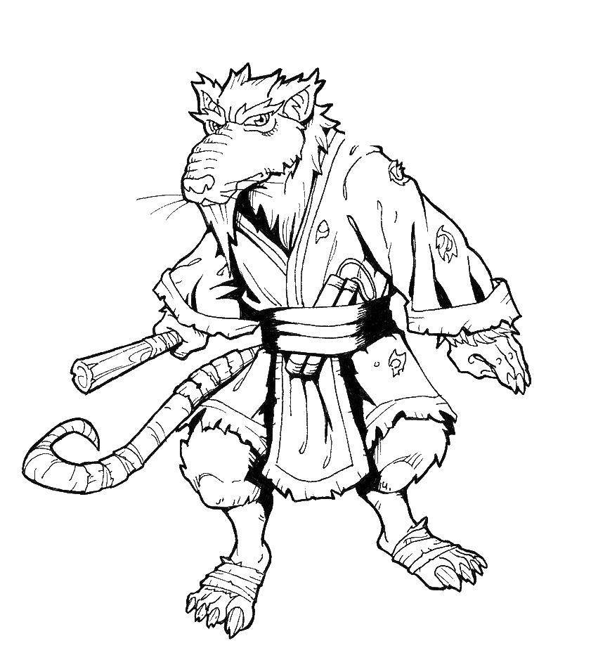 Черепашки ниндзя раскраска Сплинтер