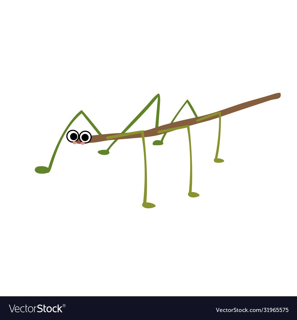 Мультяшка палочник