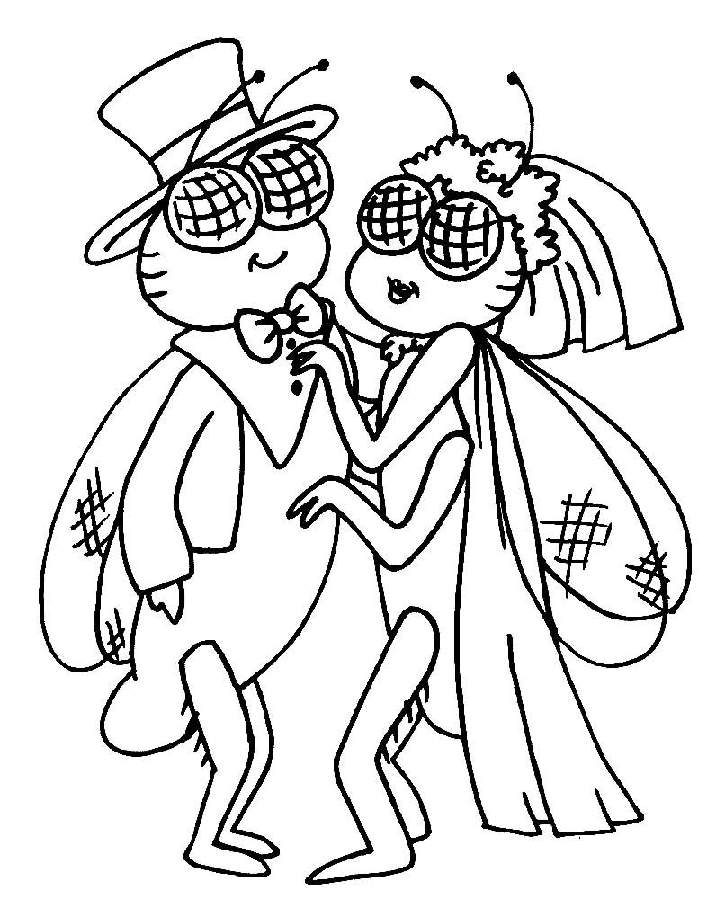 Раскраски к сказке Муха Цокотуха для детей