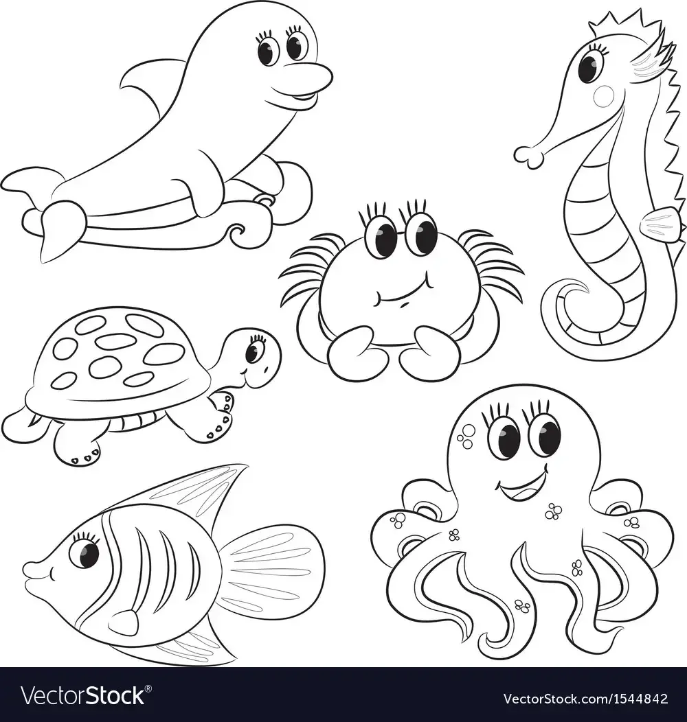 Морской конек раскраска