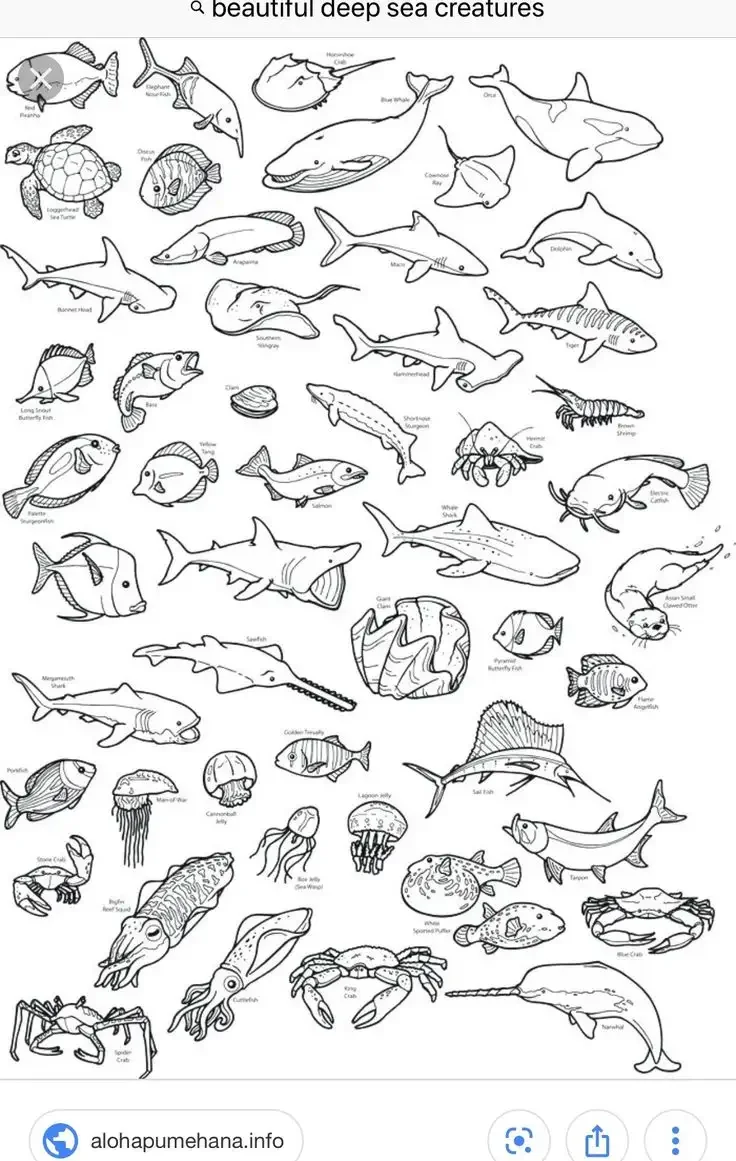 Трафарет "морские обитатели"