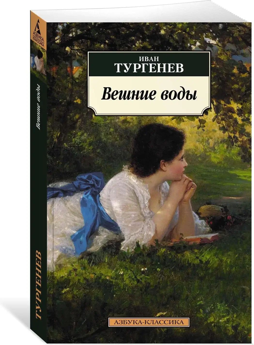 Ася иллюстрации к повести