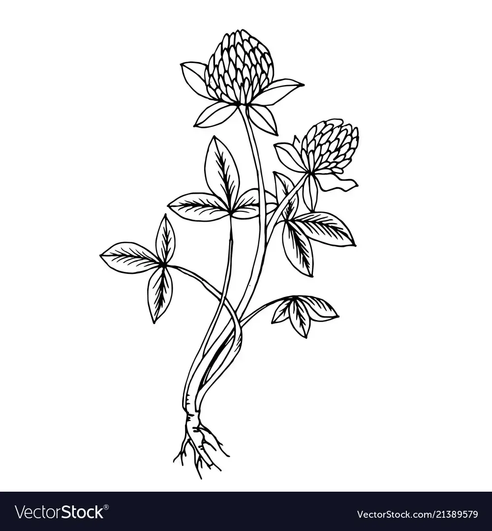 Лекарственные растения задания для детей