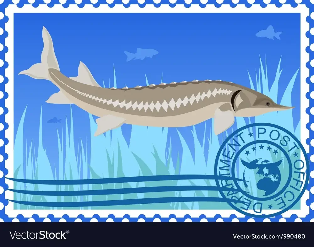 Осётр марка