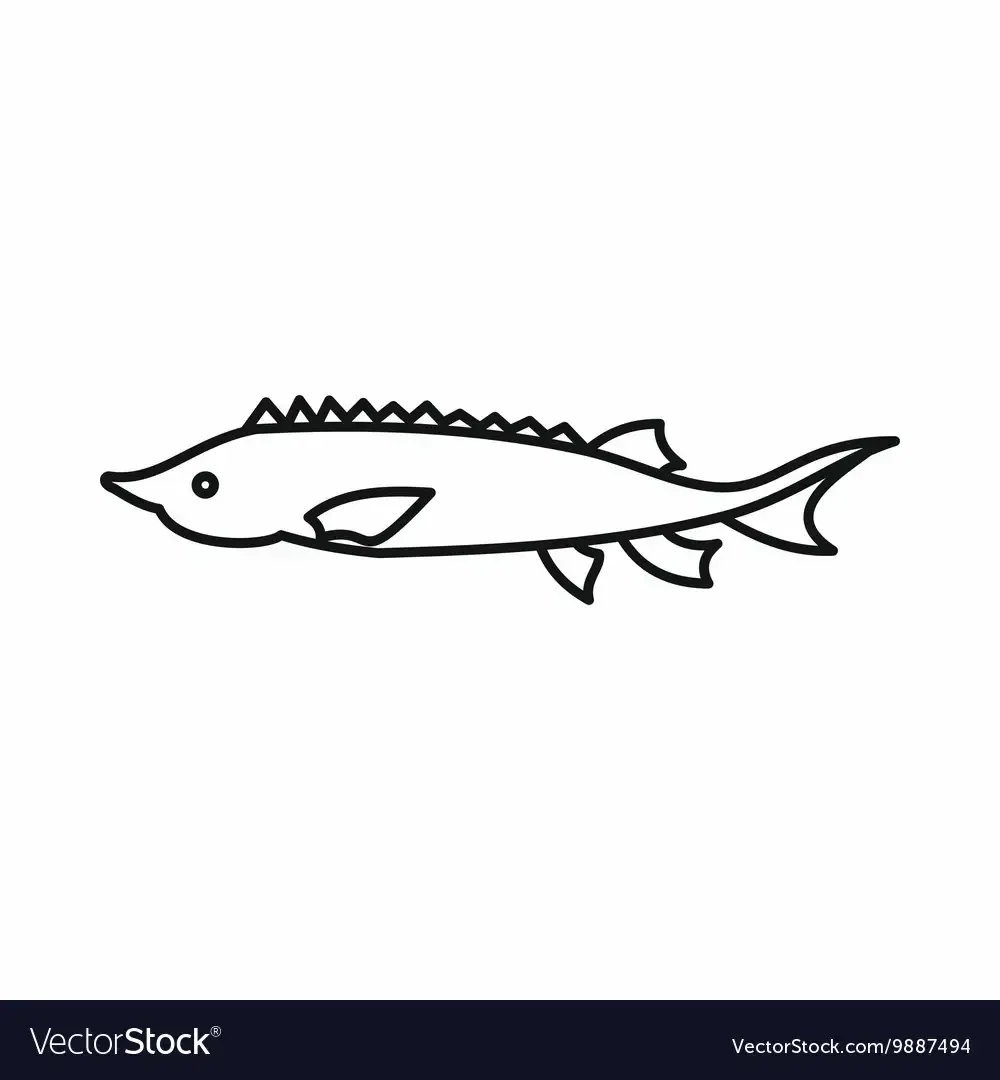 Рыба осетр контур