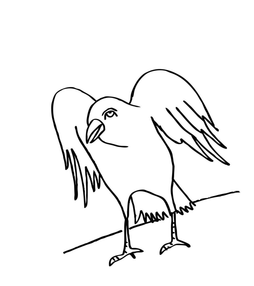 Раскраски зимующие птицы для детей 4-5 лет Воробей