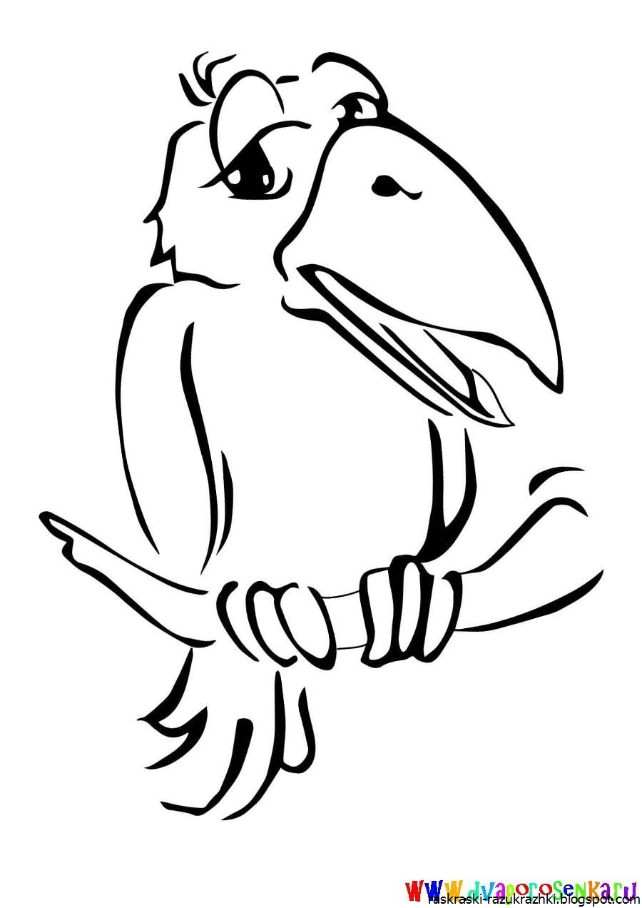 «Раки Камчатки», , рисунок Тилезиуса