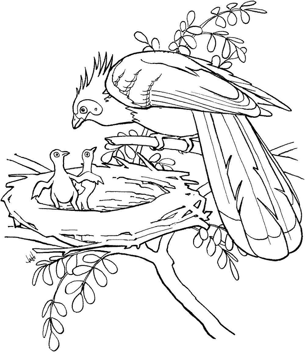 Ворона и рак раскраска