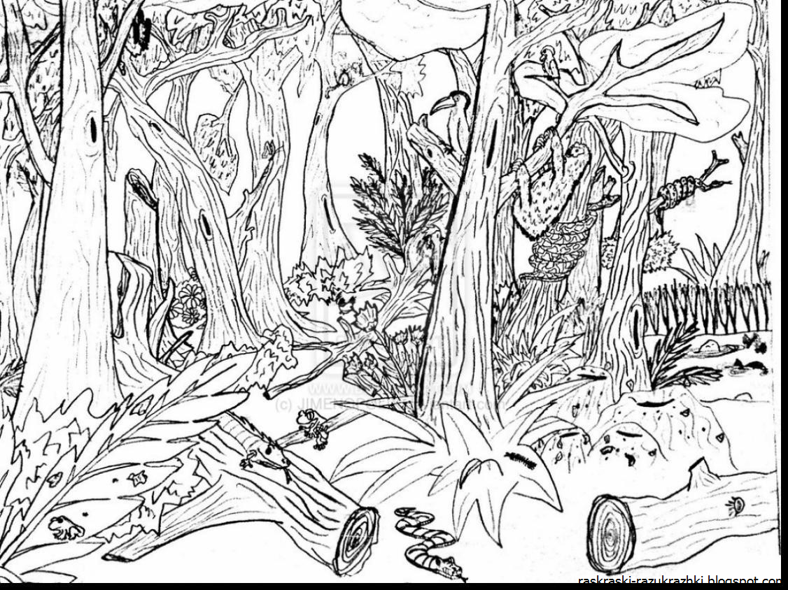 Лесоруб раскраска