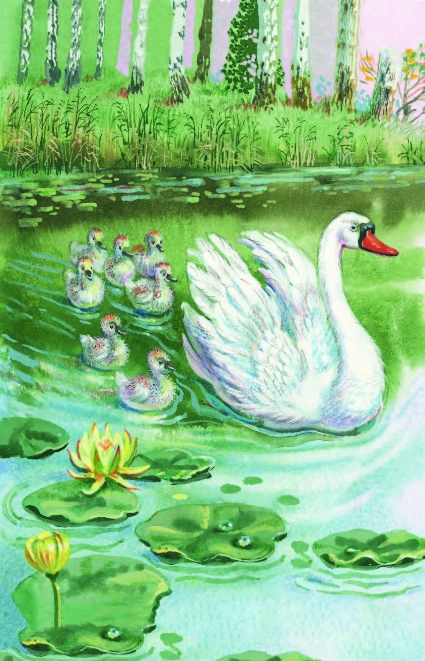 Рисование пастелью для детей лебедь