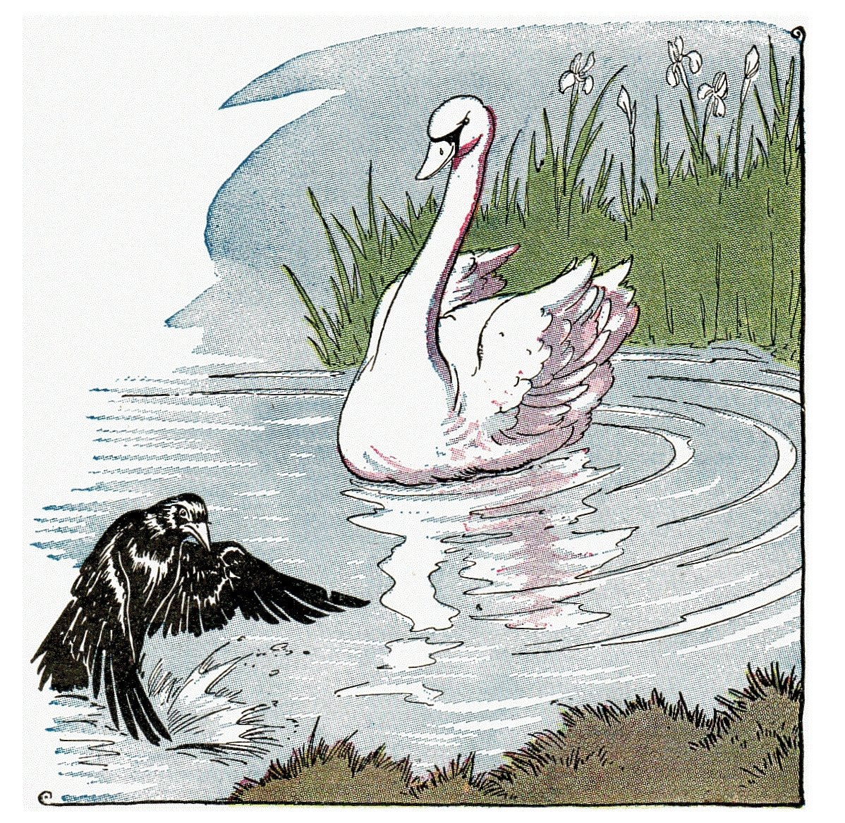 Лебедь гравюра