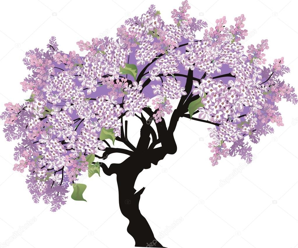 Реалистическое в творчестве Куприна