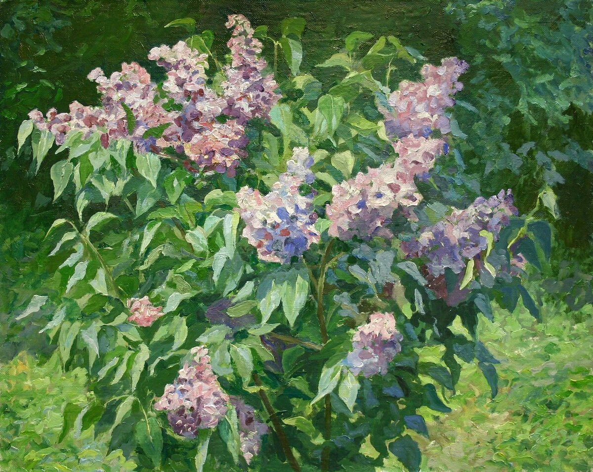 Куприн сиреневый куст