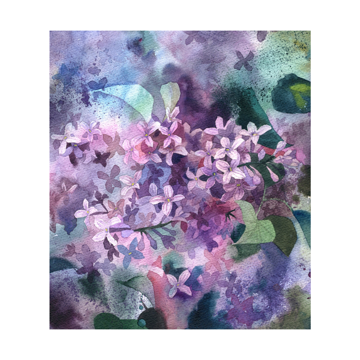 Ботаническая живопись сирень