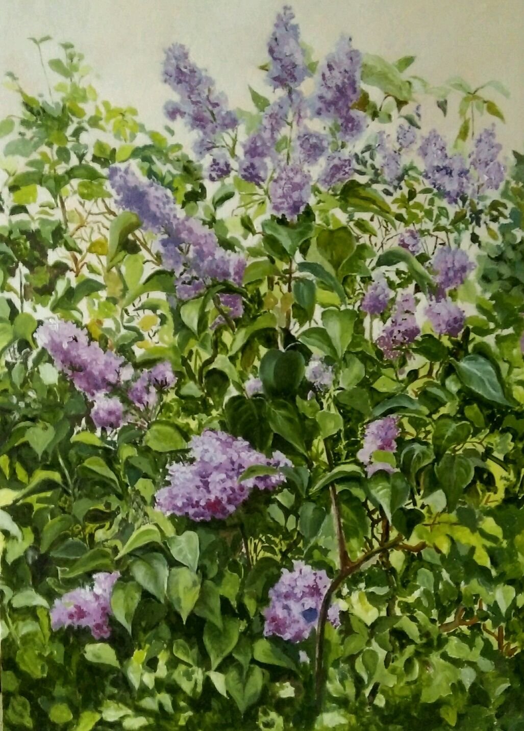 П Кончаловский сирень в окне