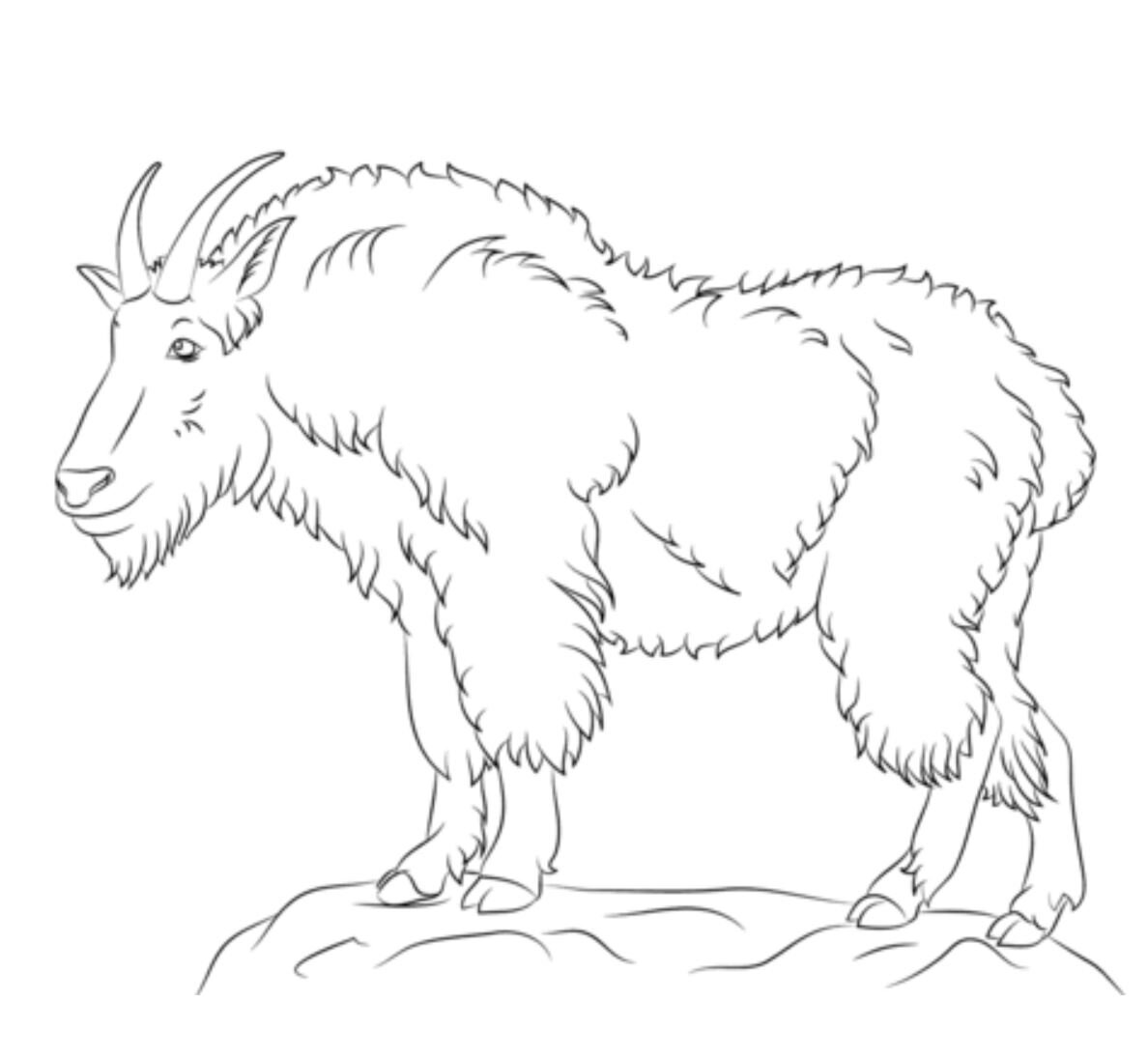 Басня журавль и лисица