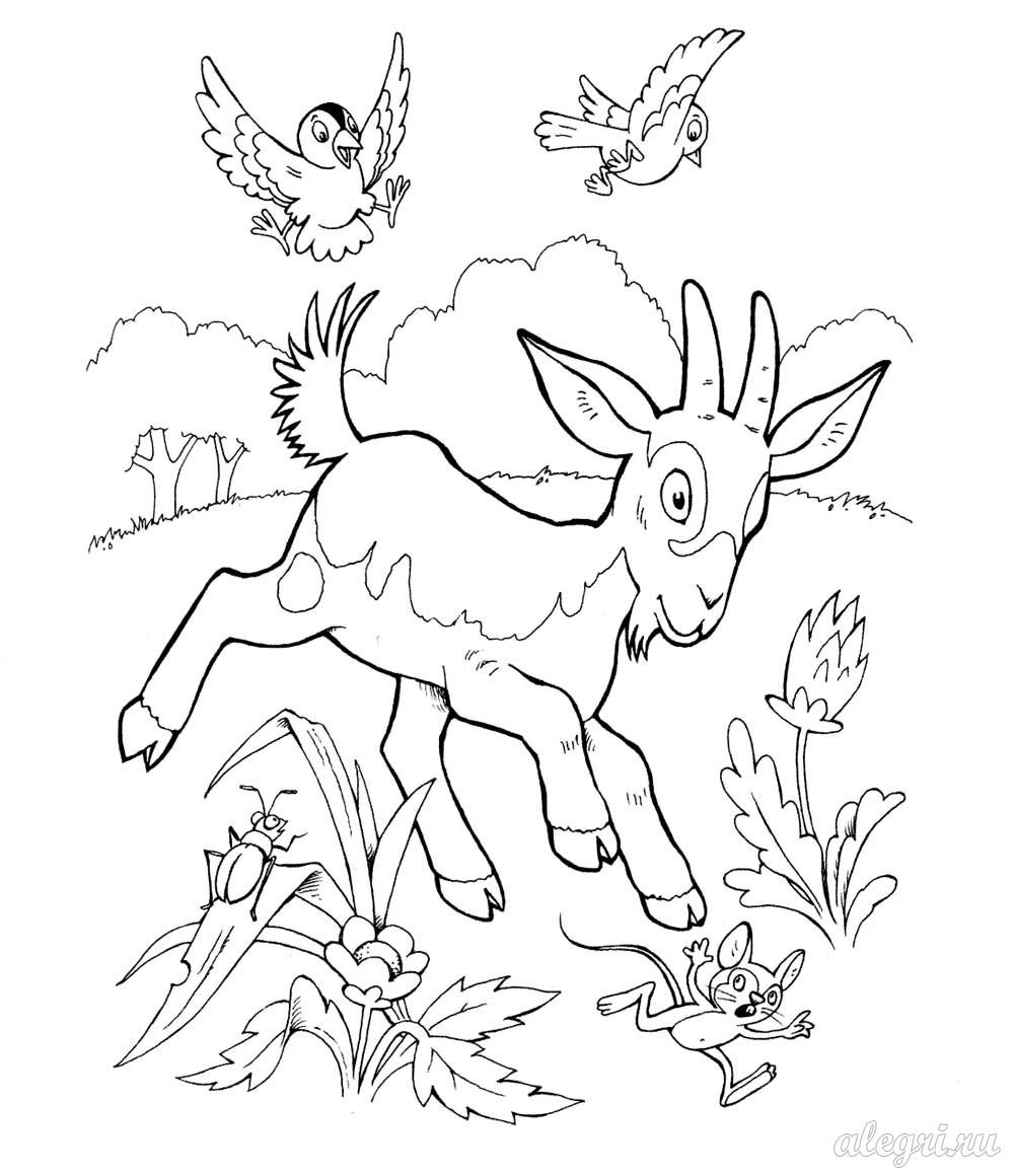 Раскраска козленок на лугу для детей