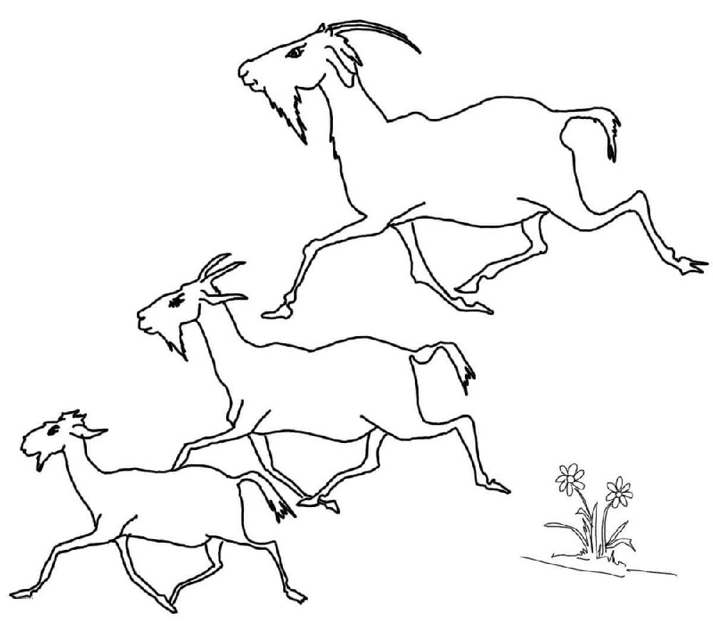 Козлёнок раскраска для детей