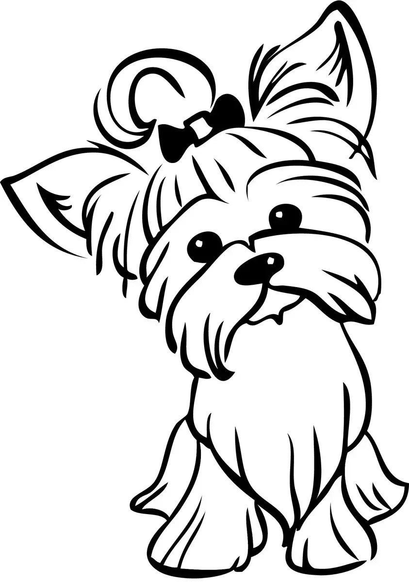 Рисунок собаки породы Йоркширский терьер