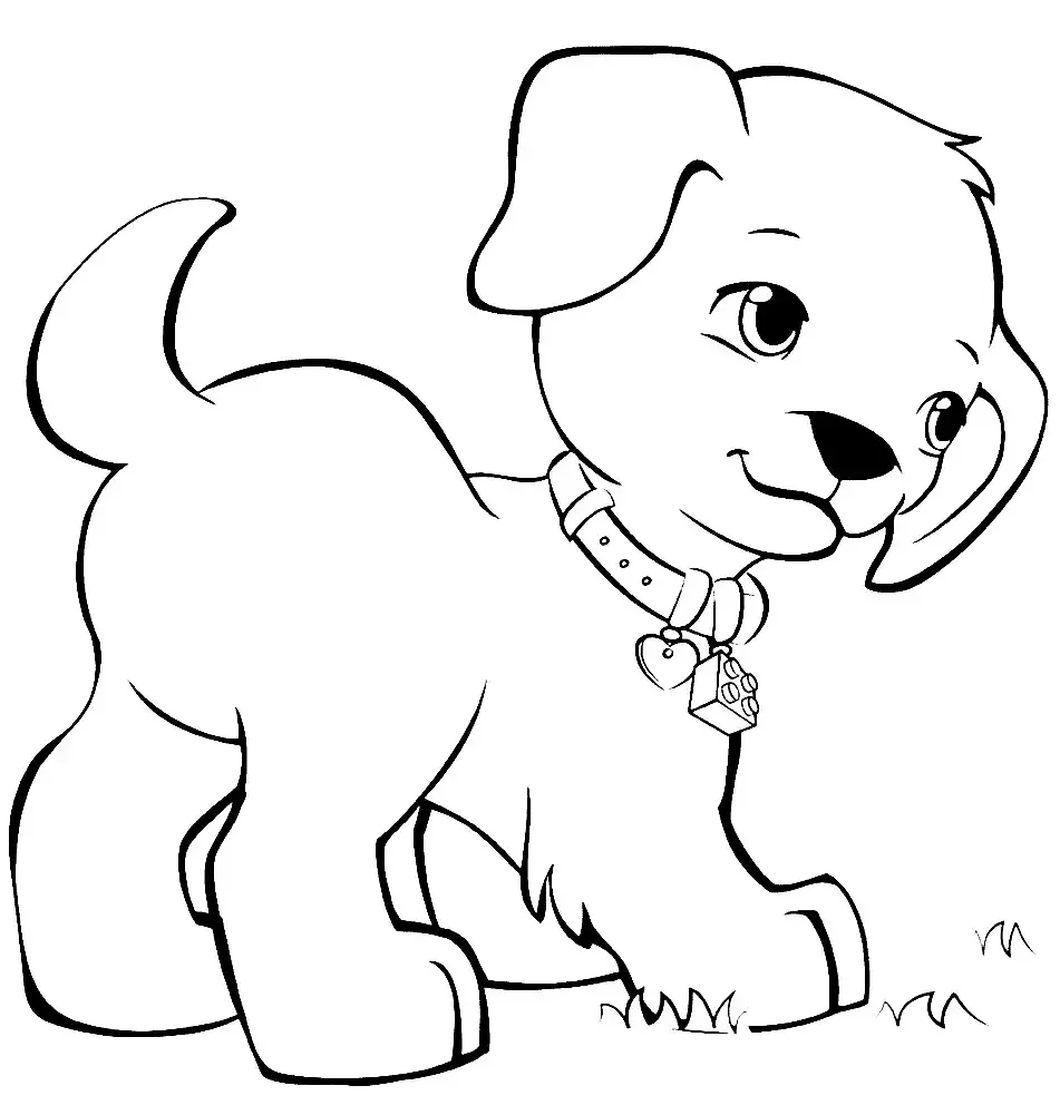 Раскраска собака лабрадор