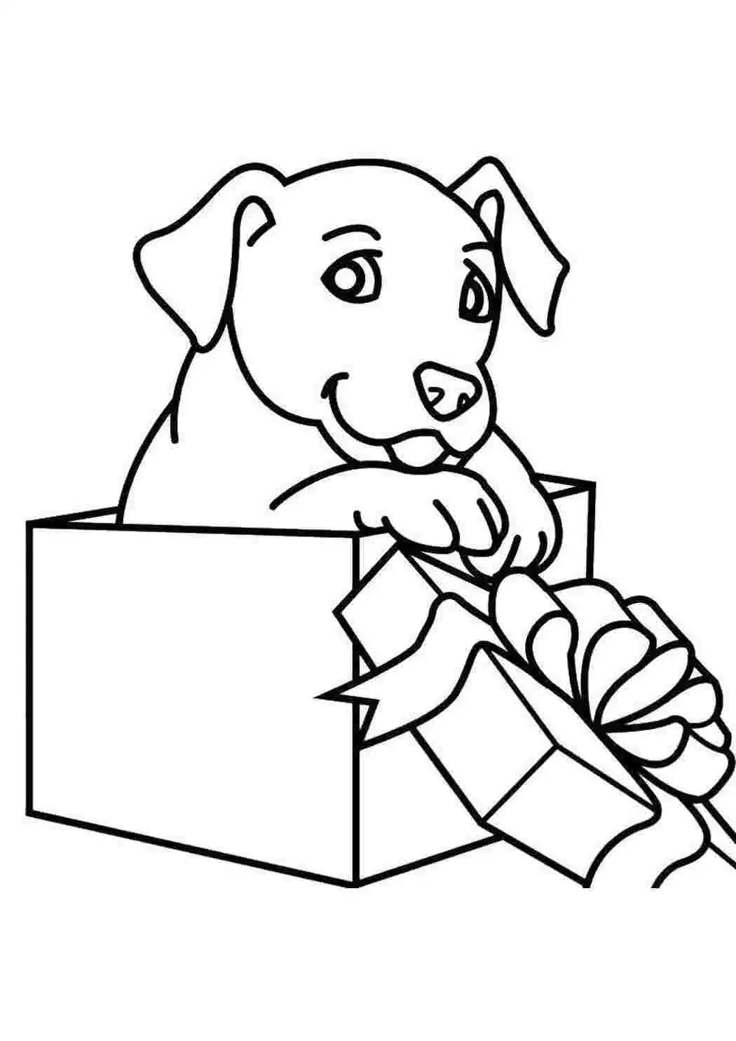 Жучка раскраска