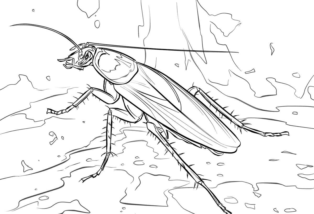 Майский Жук Дюймовочка