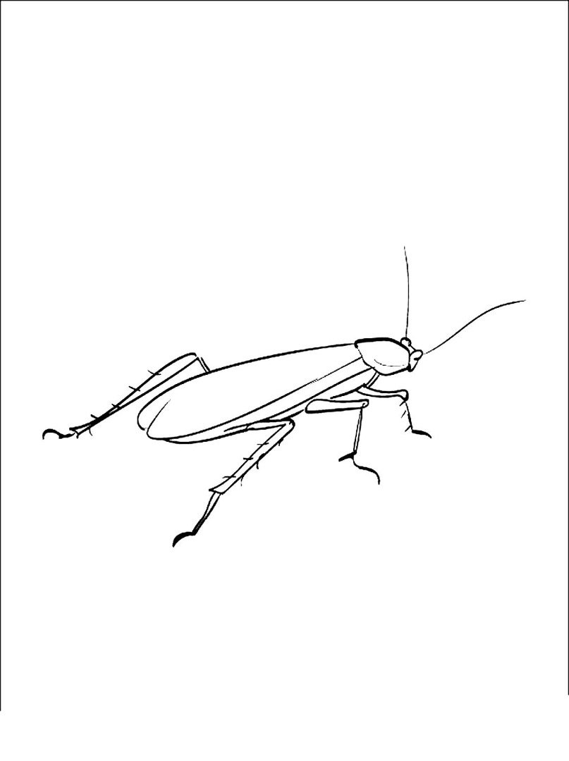 Корней Чуковский таракан Тараканище