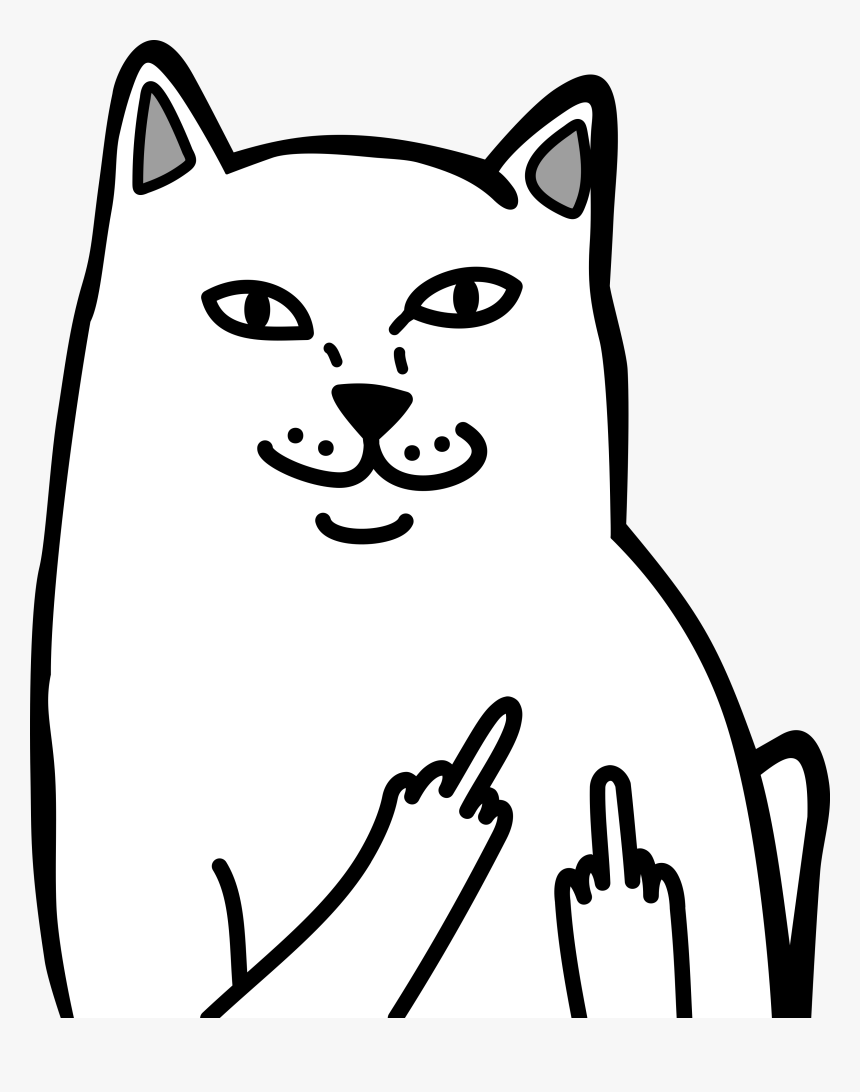 Раскраска котик в пончике