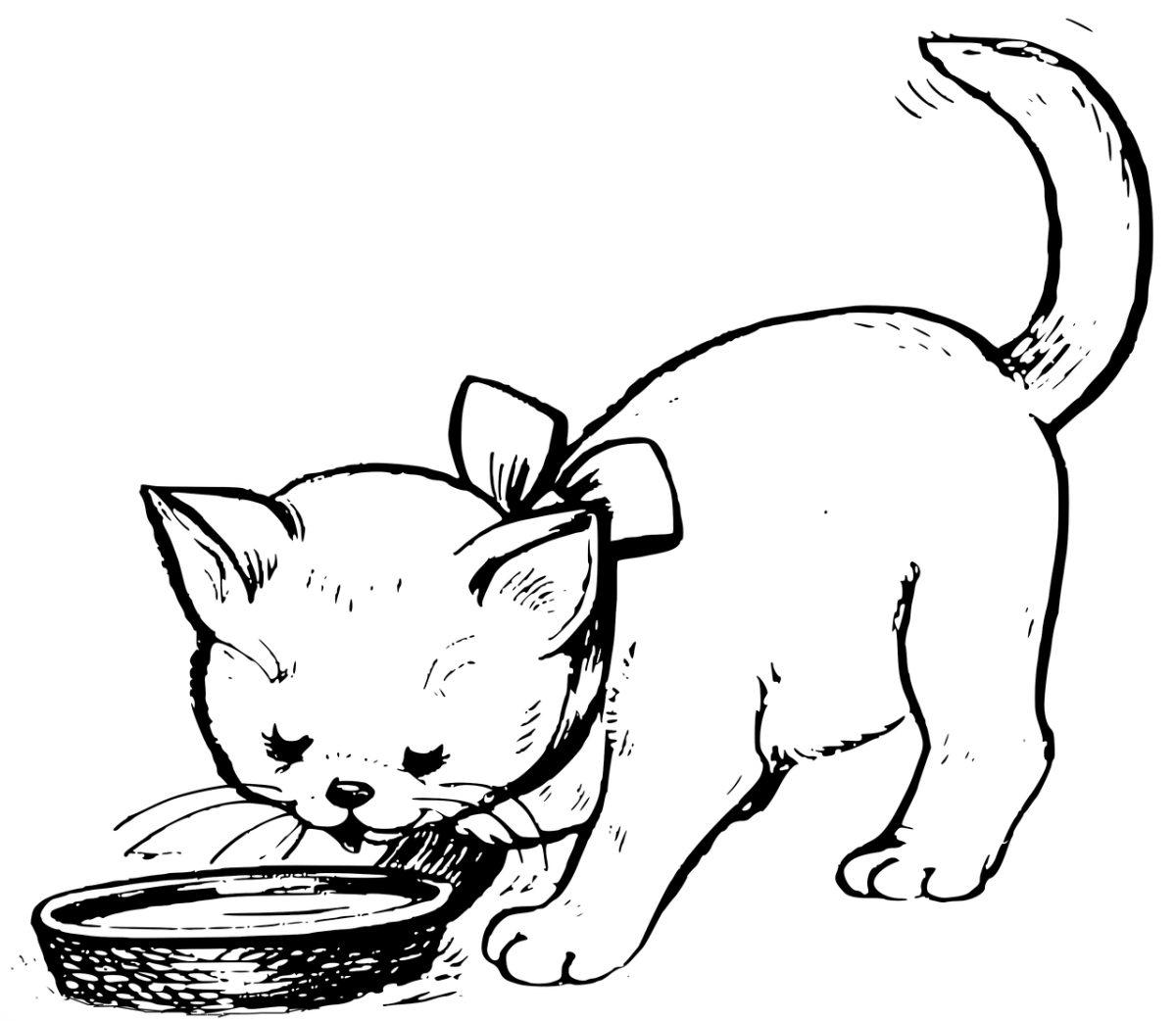 Котенок. Раскраска