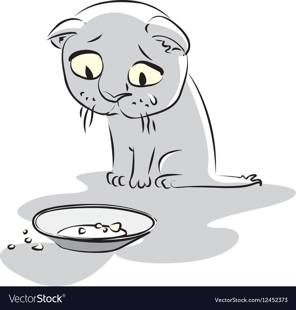 Раскраски котята толстые