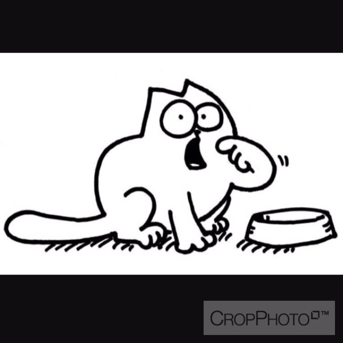 Кот Саймон хочет есть