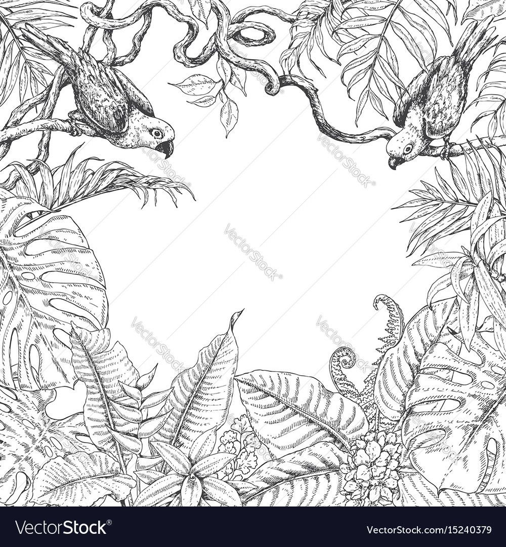 Лианы Графика