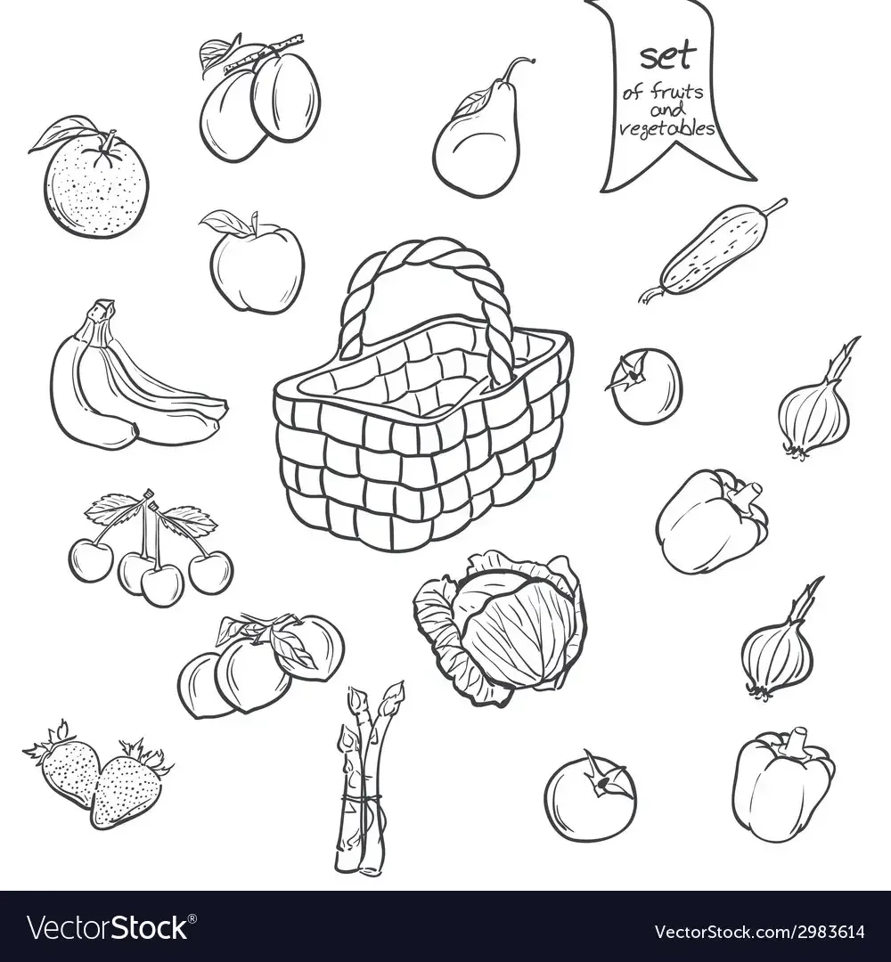 Осенний огород с овощами раскраска