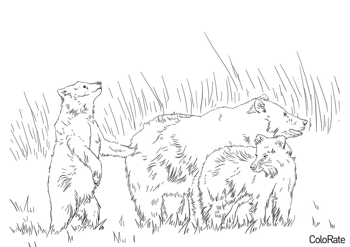 Раскраска Медведица с медвежатами для детей