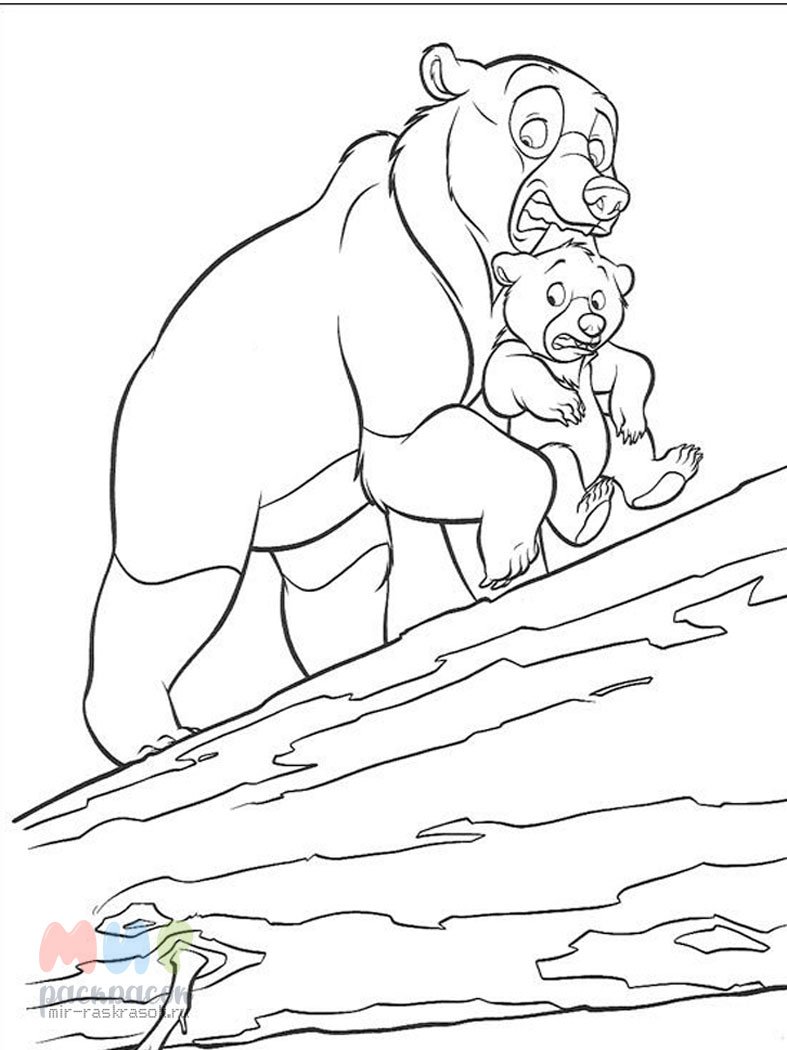 Братец Медвежонок раскраска