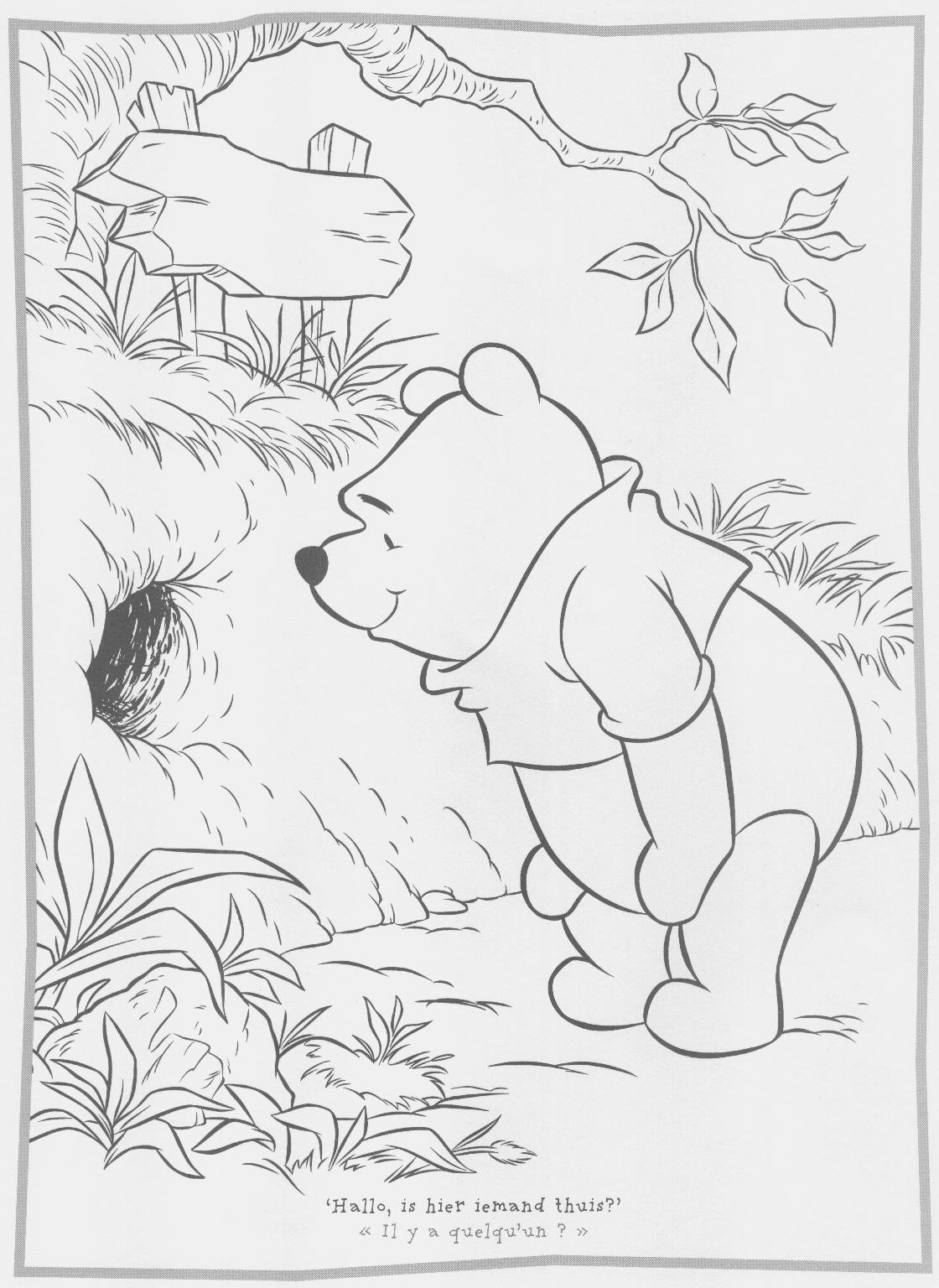 Пересказ Бианки купание медвежат