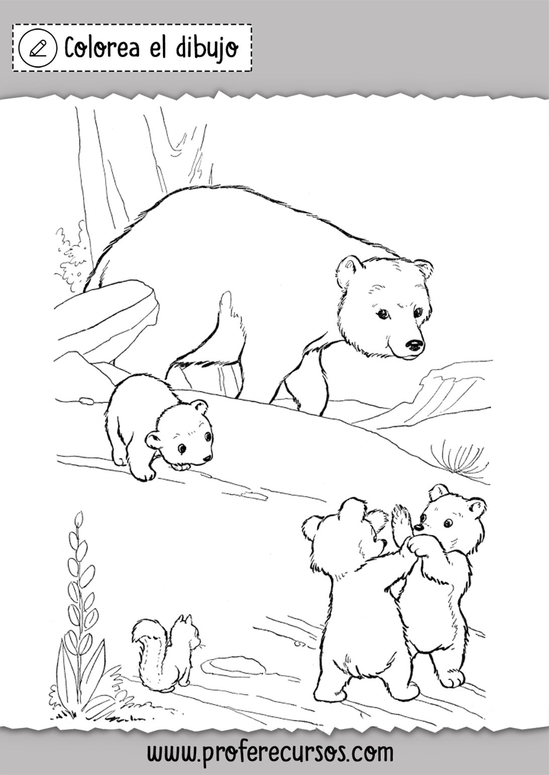 Медведь раскраска