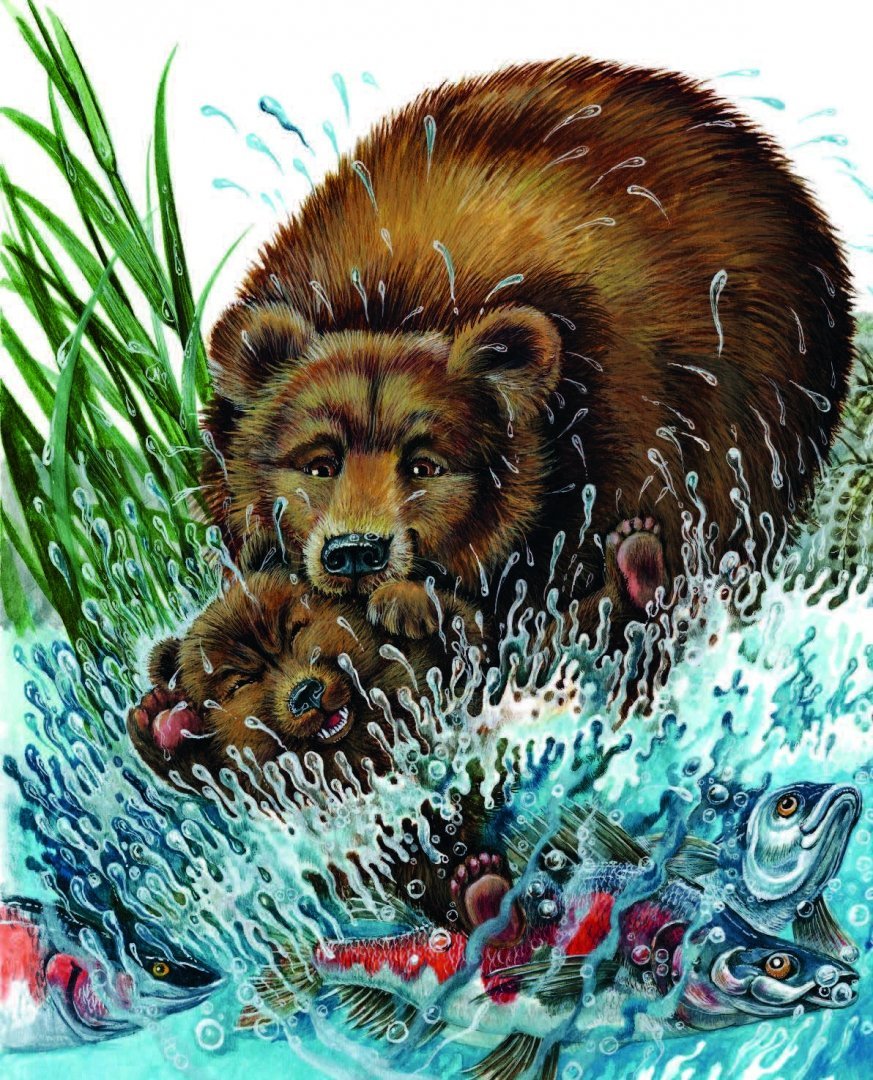 Раскраска медведь для детей 6-7 лет