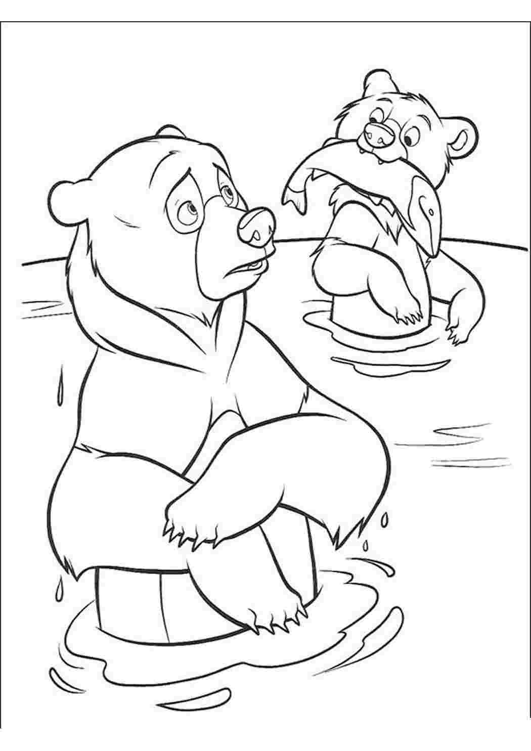 Раскраска медведь и пчелы