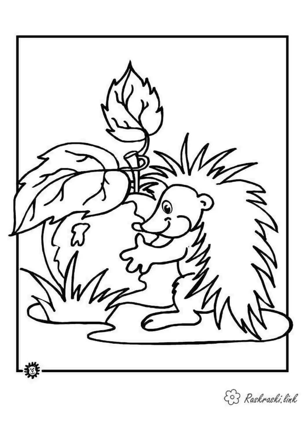 Раскраска мышка норушка из сказки Теремок