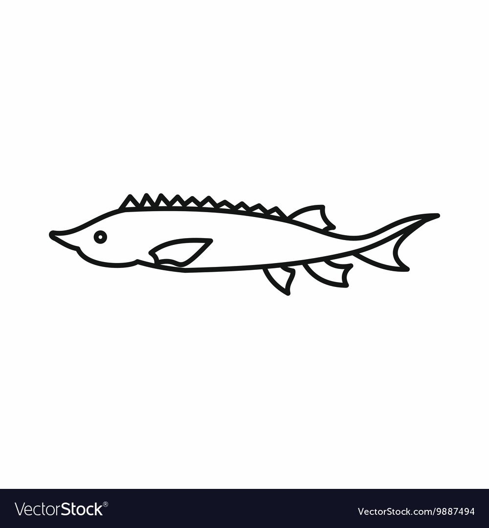 Осетр раскраска