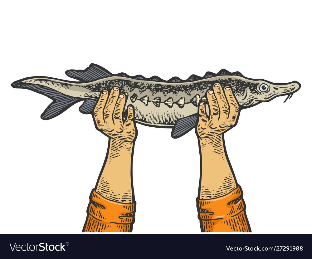 Осетр силуэт