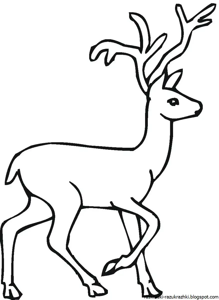 Раскраска релакс олень
