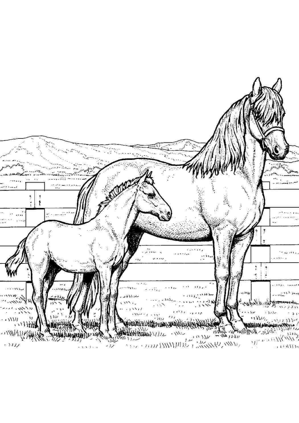 Раскраска лошадь на дыбах