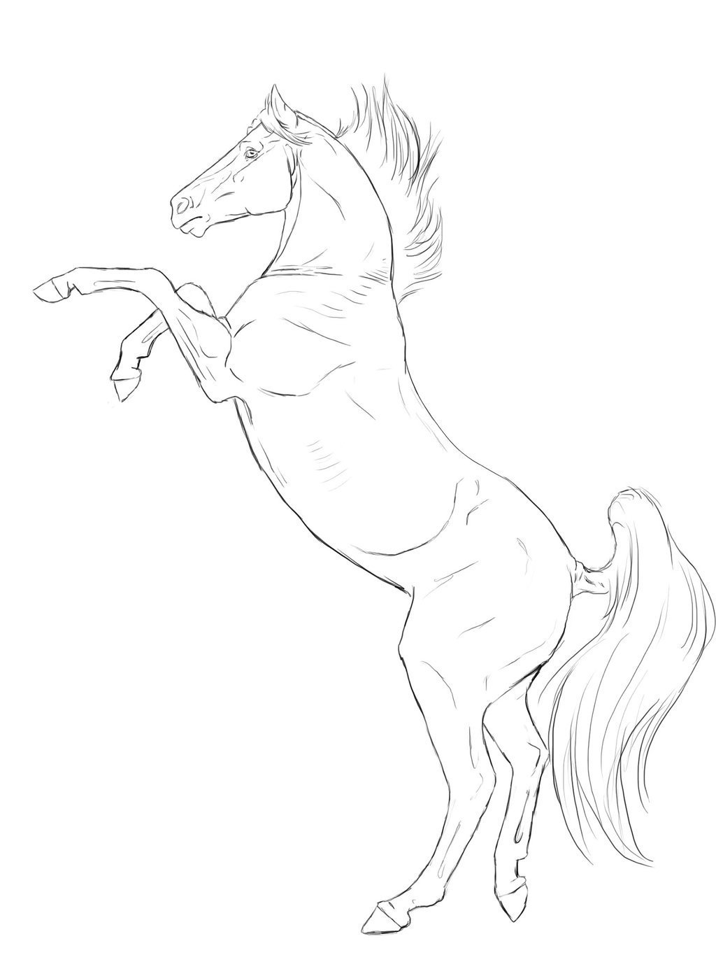 Рисунок лошади для раскрашивания