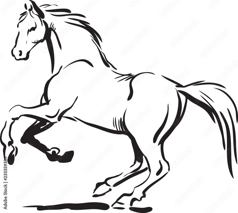 Разукрашка лошадь